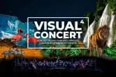 Visual Concert 4 - Koncert muzyki filmowej i epickiej