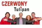 Czerwony Tulipan