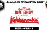 Kobranocka & Róże Europy