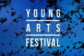 Young Arts Festival