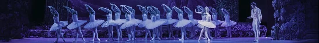 &quot;Jezioro Łabędzie&quot; - Ukrainian Classical Ballet