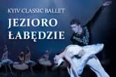 Jezioro Łabędzie - Kyiv Classic Ballet