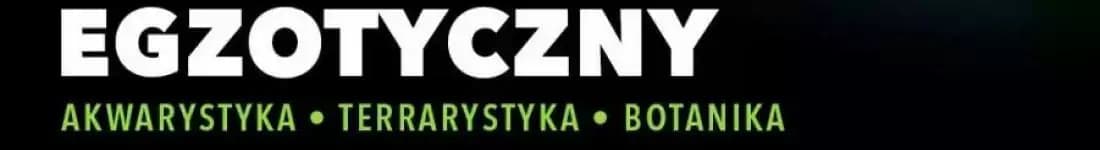 ZooEgzotyka
