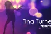Tina Turner Tribute