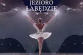 Grand Royal Ballet - Jezioro Łabędzie