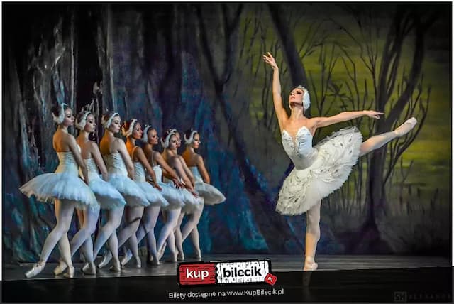 Jezioro Łabędzie - Royal International Ballet