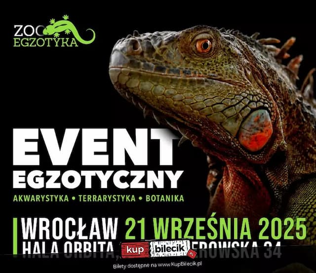 ZooEgzotyka