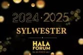 Sylwester 2024/2025