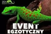 ZooEgzotyka
