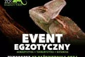 ZooEgzotyka