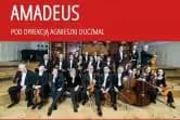 Orkiestra kameralna Polskiego radia "Amadeus"
