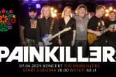 The Painkillers
