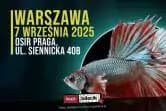 Targi Akwarystyczne