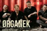 Ørganek