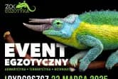 ZooEgzotyka
