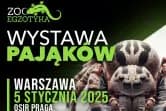 Wystawa Pająków