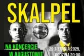 Skalpel